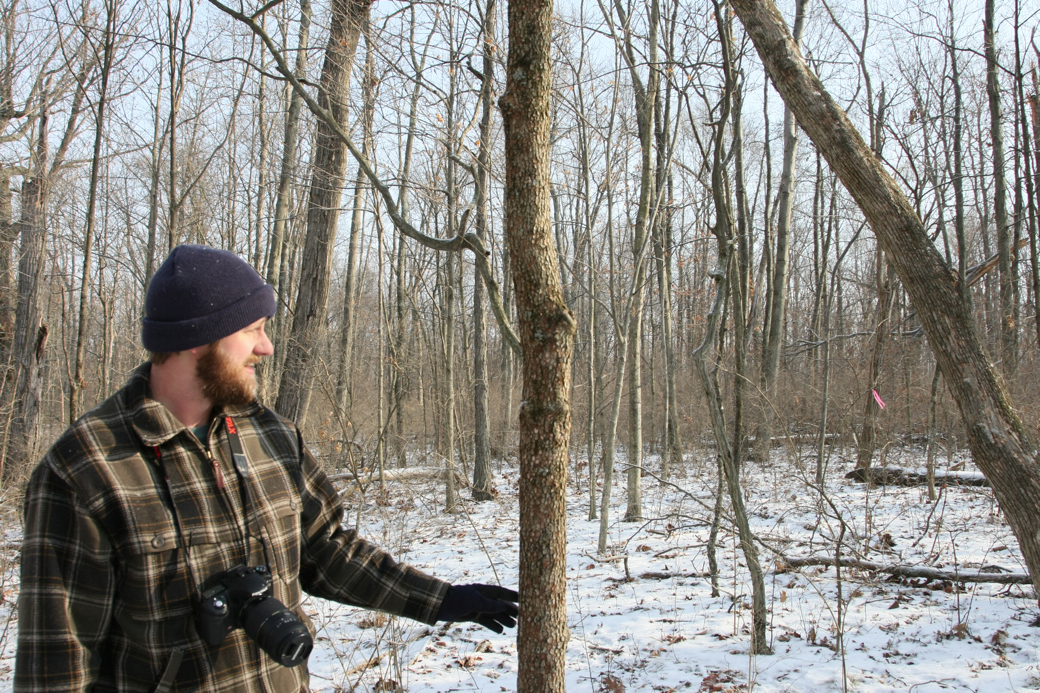 Full Size Image = 6298 K