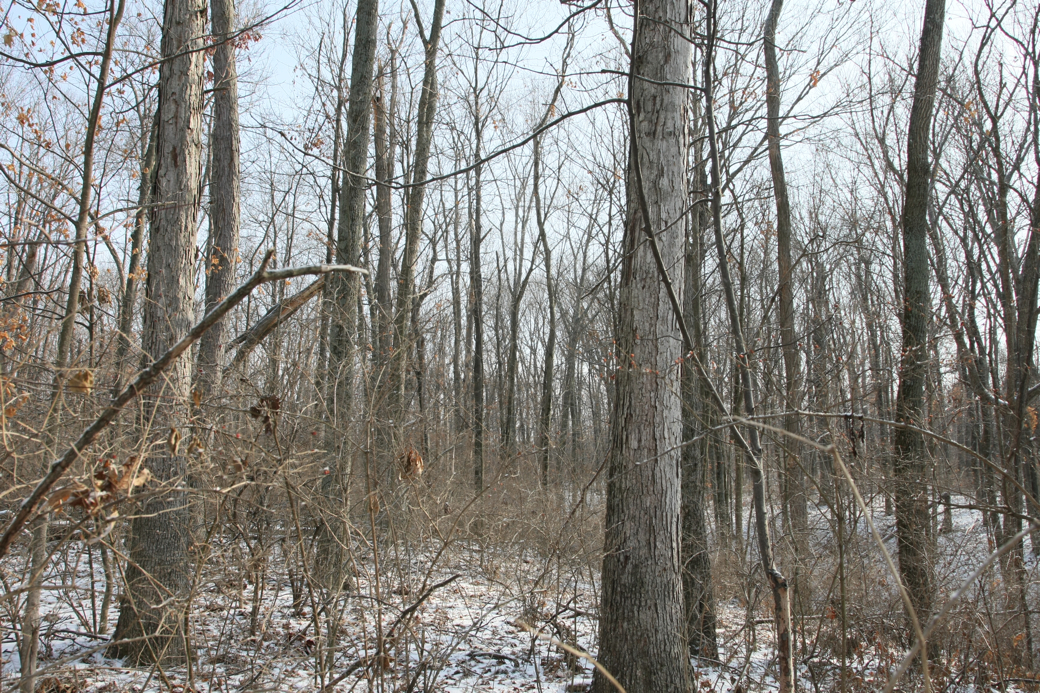 Full Size Image = 7114 K