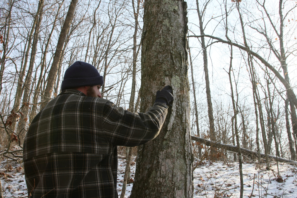 Full Size Image = 5182 K