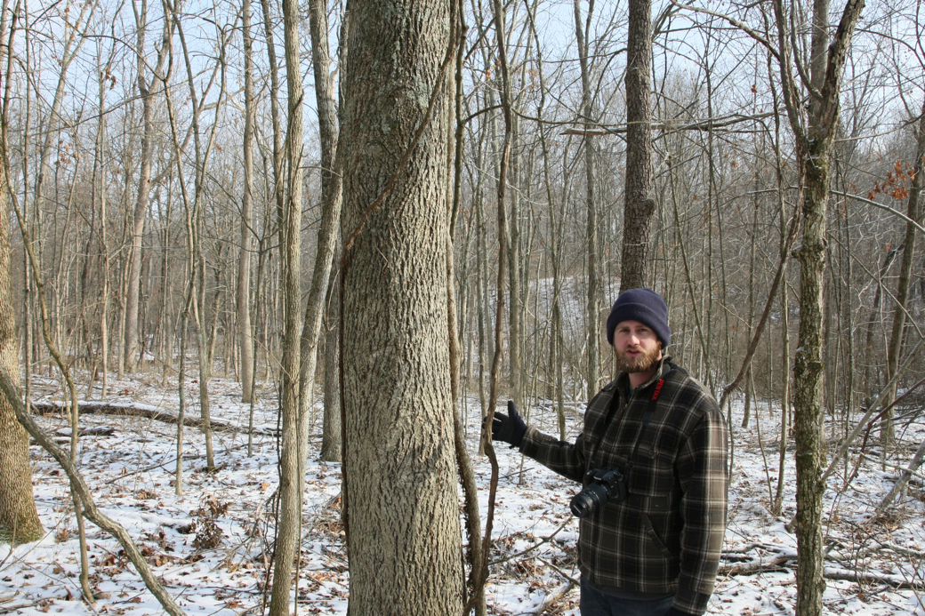 Full Size Image = 6790 K