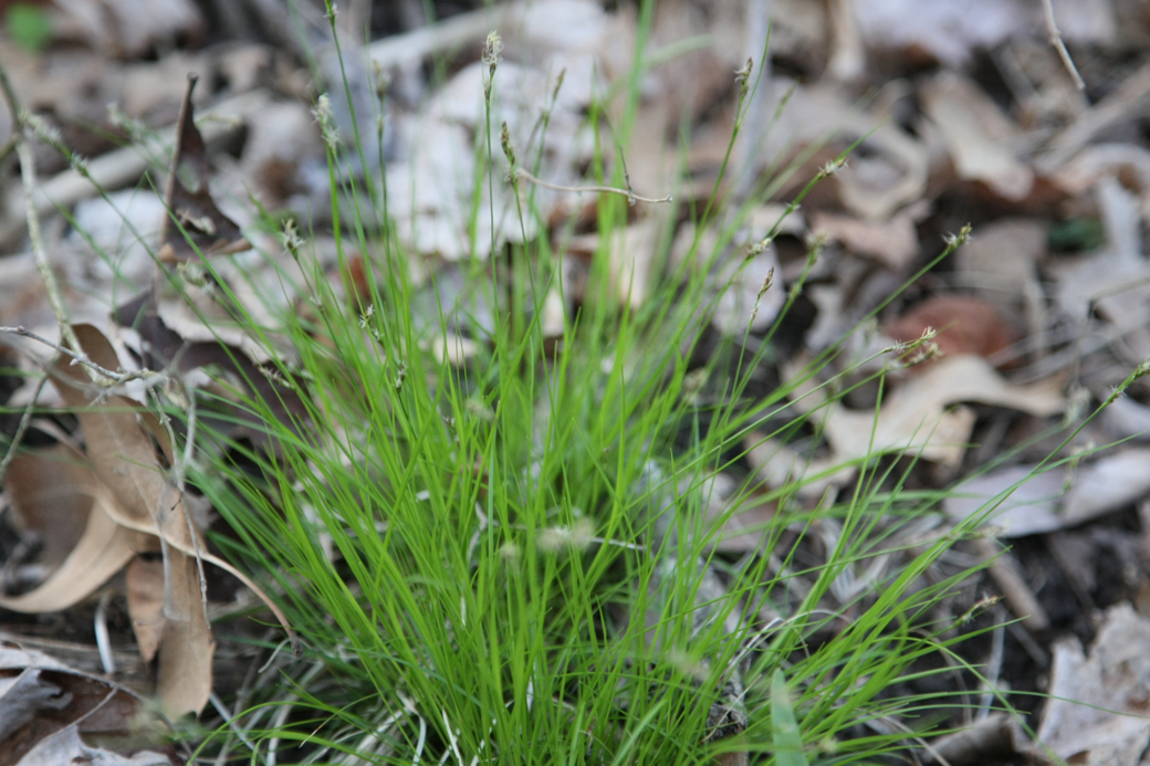 Full Size Image = 3626 K